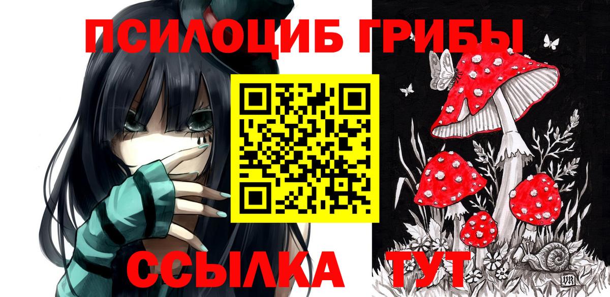 Псилоцибиновые грибы GOLDEN TEACHER  Вход с VPN  Сафоново 